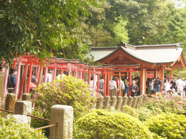 Otome Inari and 1000 Torii Shrine Gates