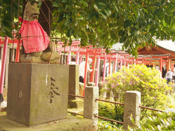 Otome Inari and 1000 Torii Shrine Gates