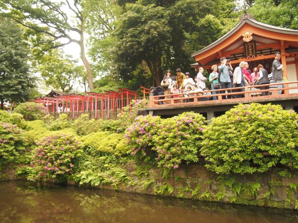 Otome Inari and 1000 Torii Shrine Gates
