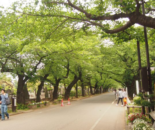 Yanaka Cemetery