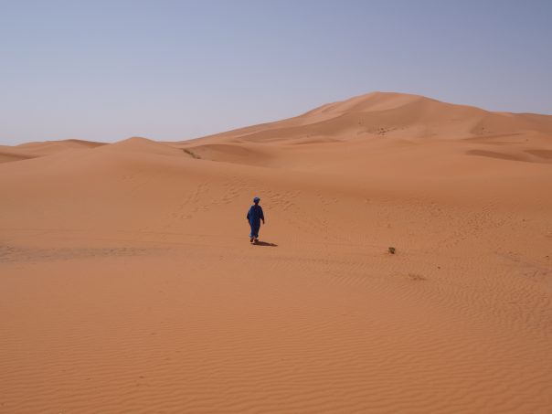 Freedom in desert