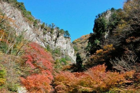 Autumn leaves around Hinohara Nature Lodge