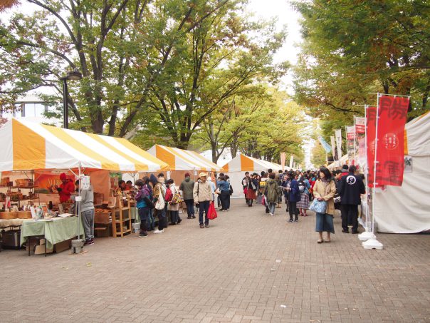 Vege Food Festa 2016 Yoyogi Park