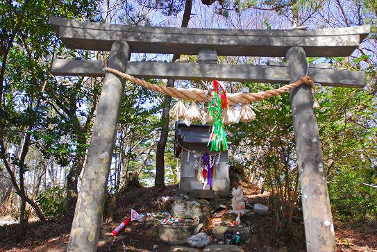 Cat Shrine