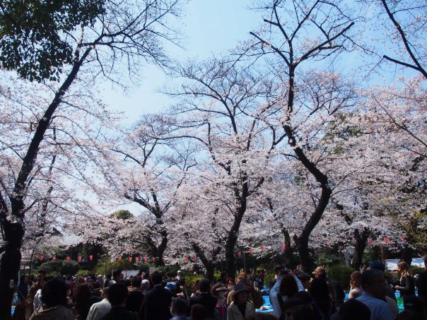 Ueno Park