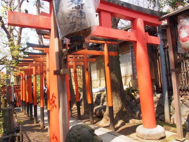 Torii Shrine Gate in Ueno Park