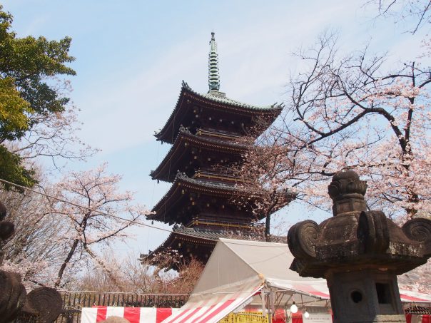 Five-Story Pagoda in Kanei-ji Temple