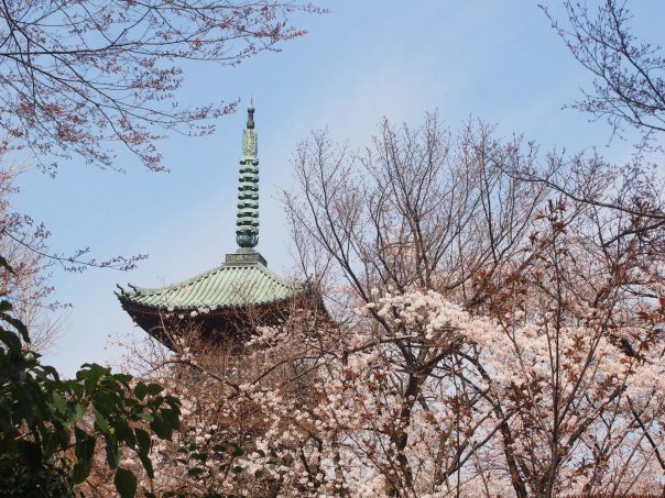 Five-Story Pagoda in Kanei-ji Temple