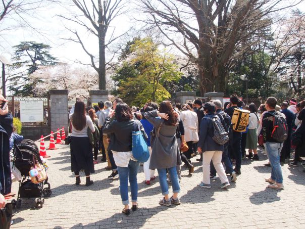 Shinjuku Gyoen National Garden