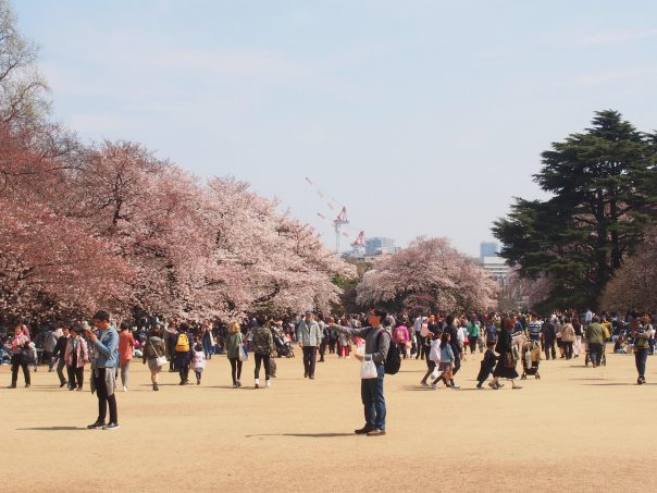 Shinjuku Gyoen National Garden