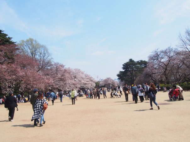 Shinjuku Gyoen National Garden