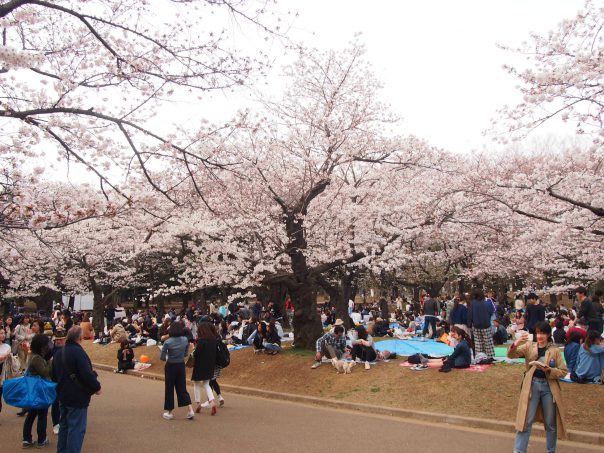 Yoyogi Park