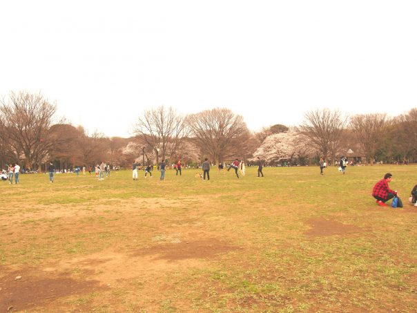 Center of Yoyogi Park