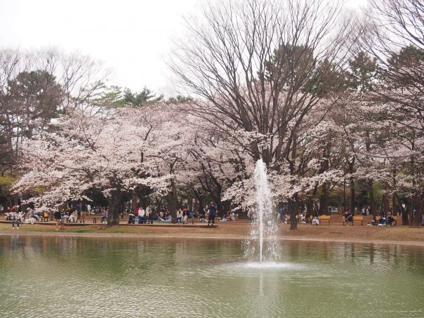 Fountain in the Pond