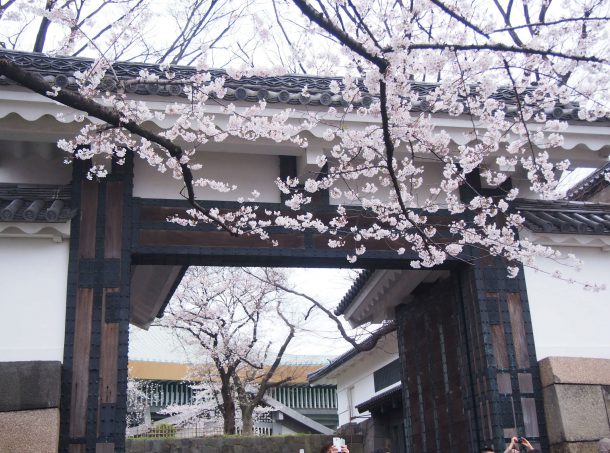 Entrance Gate