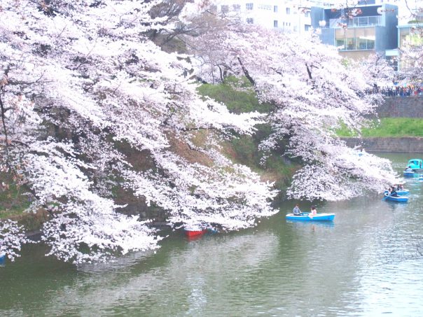 Boating on the River