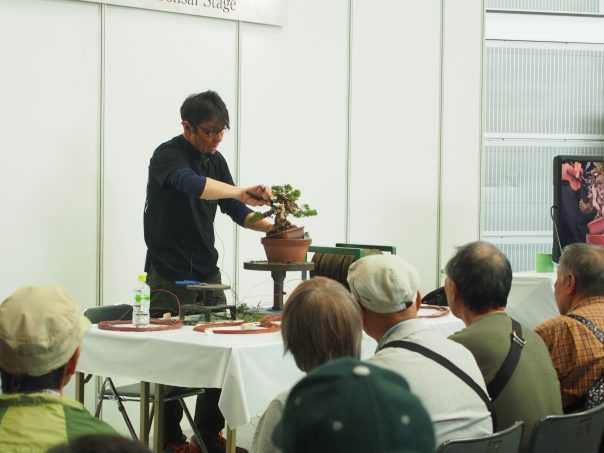 apan Shohin Bonsai Stage