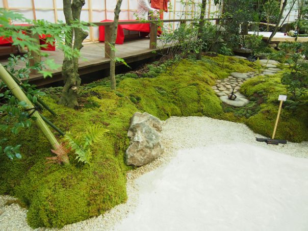 Japanese Garden & Tea Space