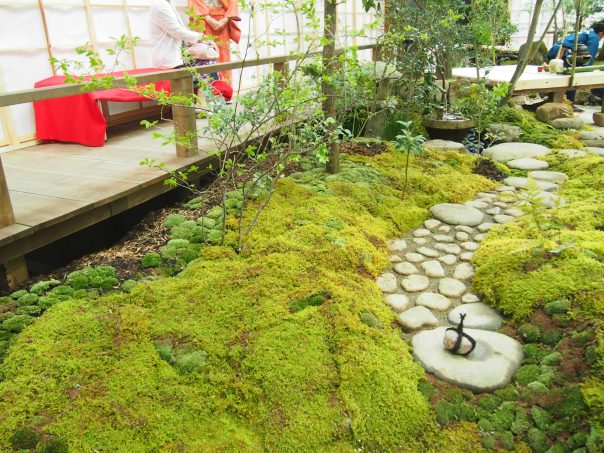 Japanese Garden & Tea Space