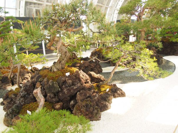 Japanese Garden in front of Saitama-Shintoshin Station