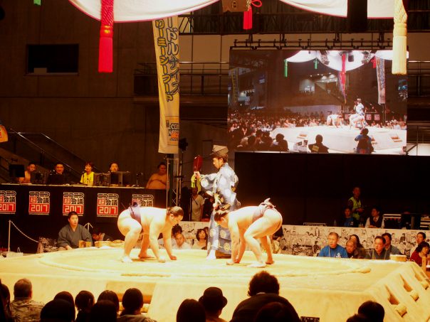 Sumo Wrestling Match