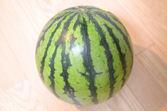 Suika (Watermelon)