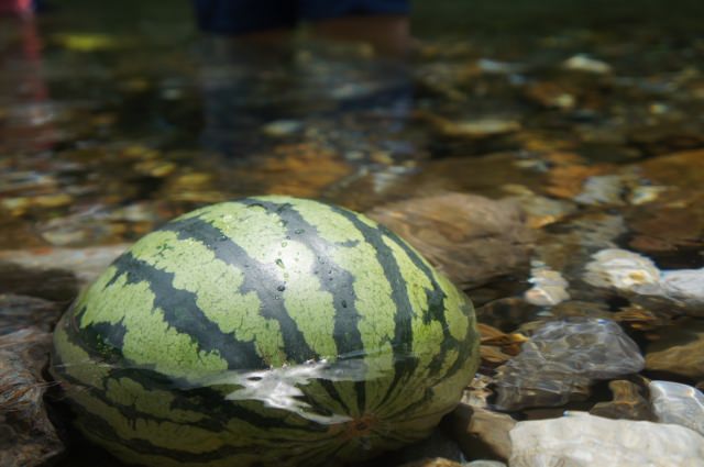 Suika (Watermelon)