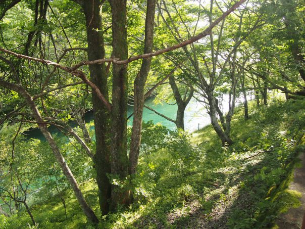 Path to Chuzenji Lake