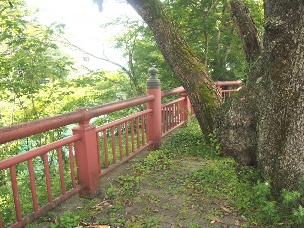 Path to Chuzenji Lake