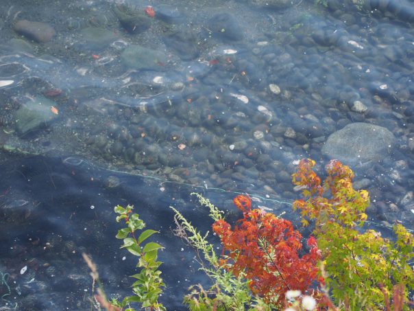 Water of Chuzenji Lake