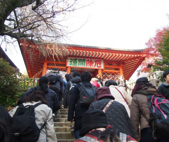 Stone Steps to Yakuoin Temple