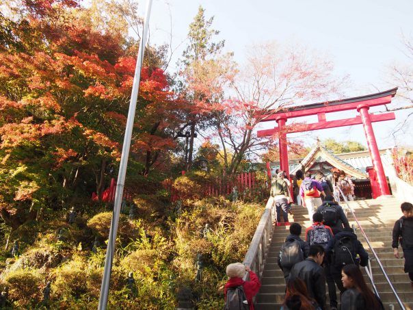 Shrine Gate with Temple in the back