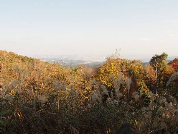 Scenery from View Point