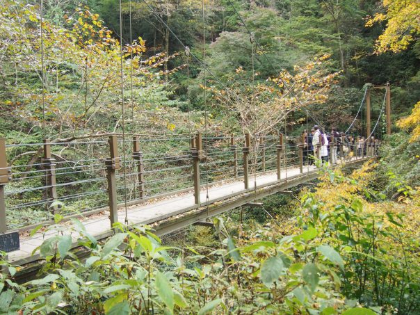 Miyama Bridge