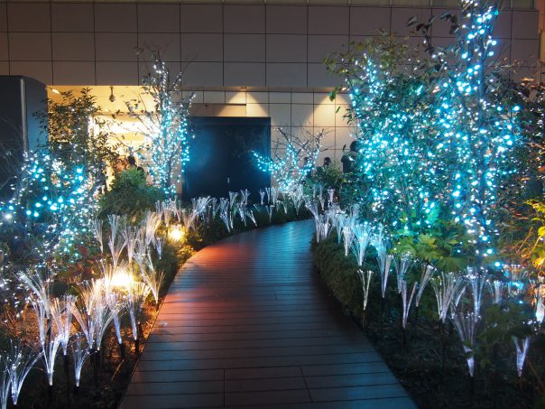 Christmas Illumination of Shinjuku Station