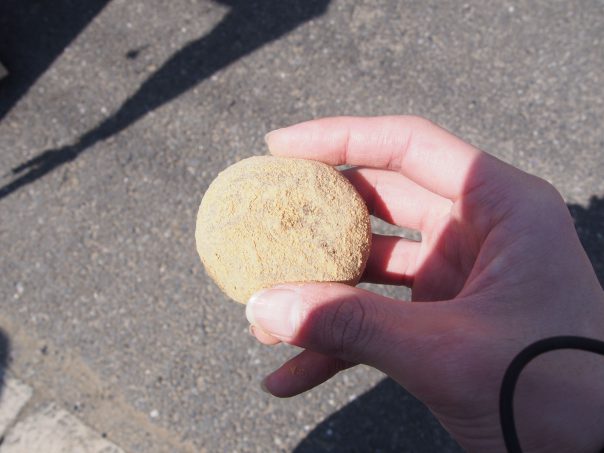 Warabi Mochi Daifuku