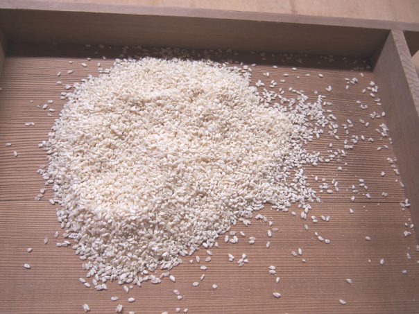 White Rice Koji (Hakumai Koji )