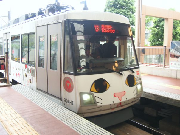 Train of Cat