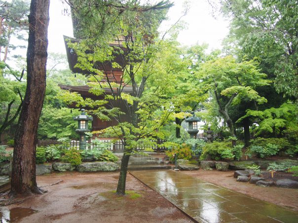 Visited Lucky Cat Temple Gotokuji in Tokyo!! : Hiro8 Japanese Culture Blog