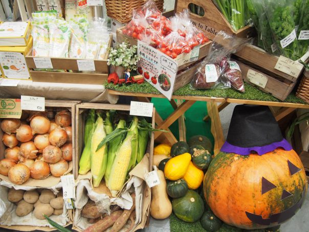 Organic Vegetables of Kodawariya