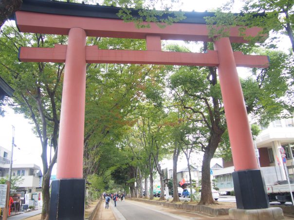 Shrine Gate of Hikawa shrine