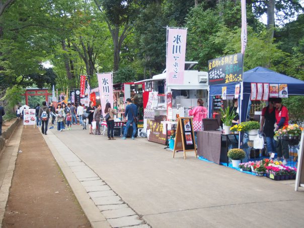 Pathway to Hikawa Shrine