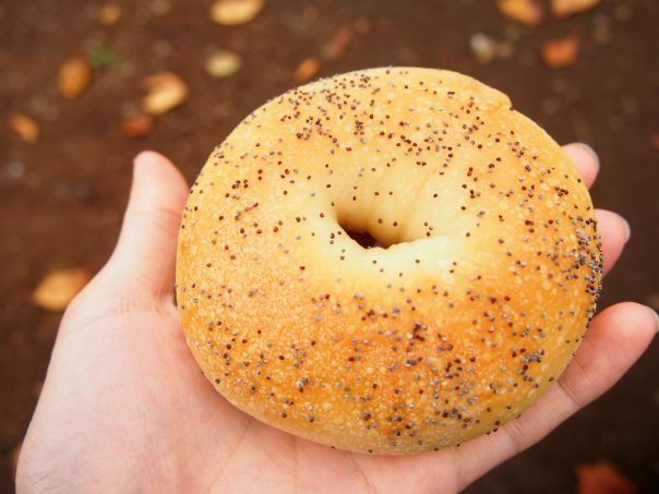 WA Bagel