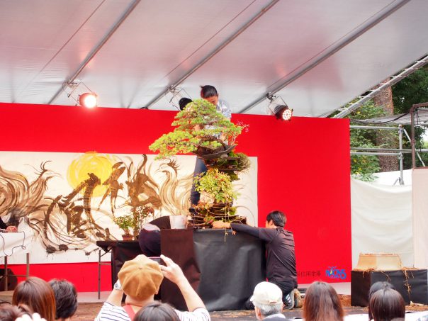 Bonsai Performance by Masashi Hirao