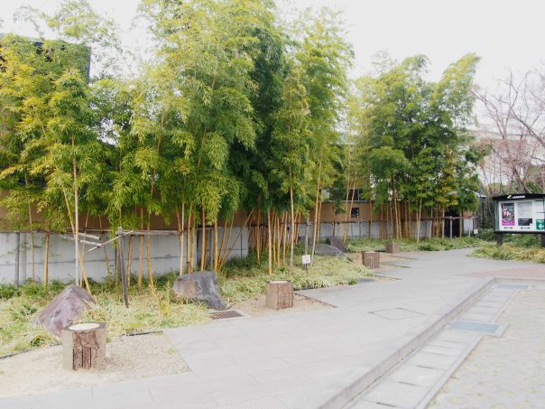 Backside of Omiya Bonsai Art Museum