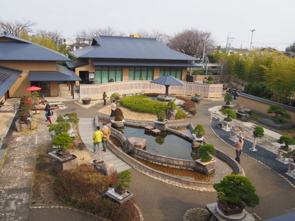 Bonsai Garden