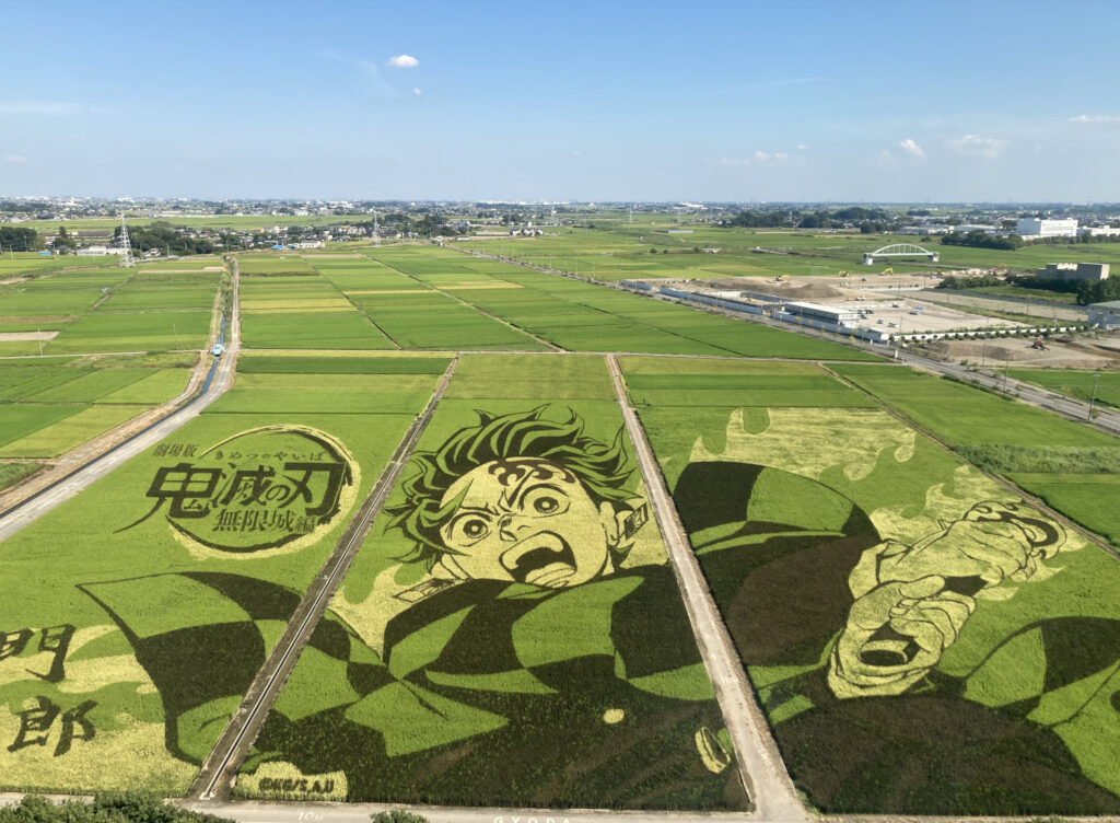 Rice Paddy Art of Demon Slayer in Ancient Lotus Park in Gyoda City