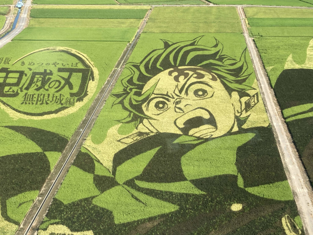Rice Paddy Art of Demon Slayer in Ancient Lotus Park in Gyoda City