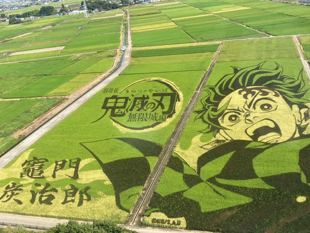 Rice Paddy Art of Demon Slayer