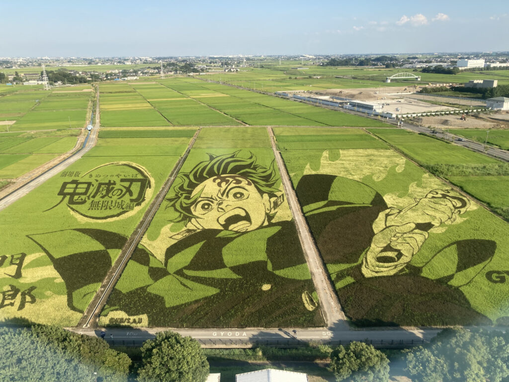 Rice Paddy Art of Demon Slayer in Ancient Lotus Park in Gyoda City